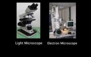 Light microscope and Electron microscope