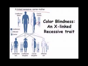 Colour blindness