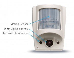 motion detector camera