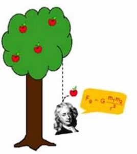 Newton's Universal Gravitation Law 