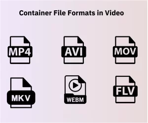 Video Container Formats