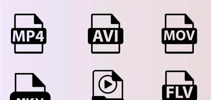 Video Container Formats
