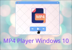 mp4