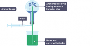 Fountain experiment of ammonia