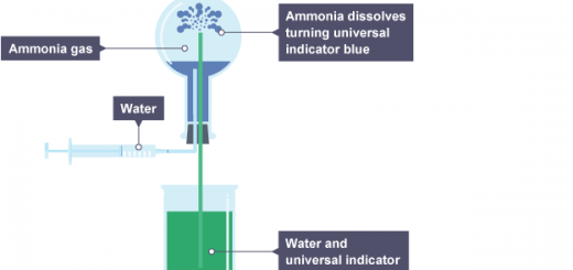 Fountain experiment of ammonia