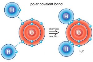 Polar covalent bond 
