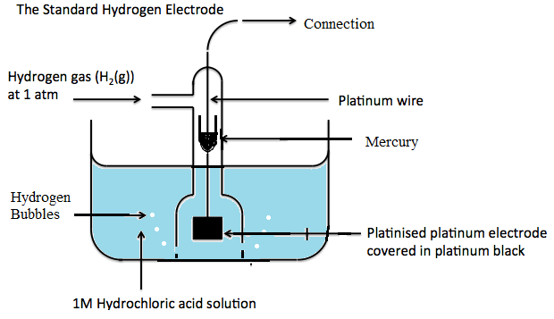 Electric Potential Standard Hydrogen Electrode Electrochemical Series Measurement Of Electrode Potentials Science Online