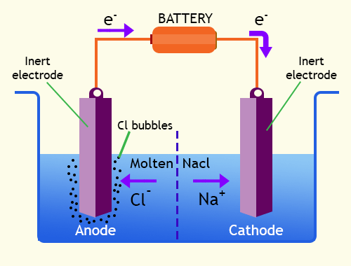 Electrolytic cells structure and importance, the difference between ...
