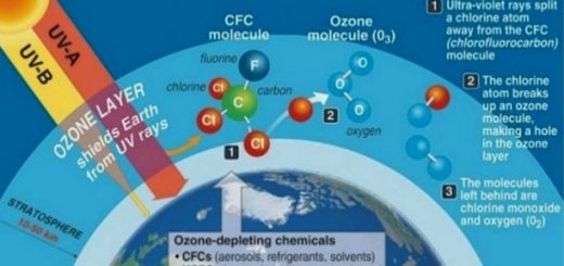 Ozone hole causes