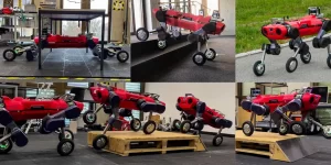 Wheeled robots