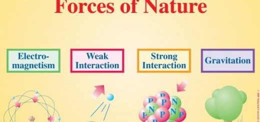 Fundamental forces in nature