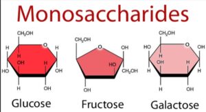 Monosaccharides 