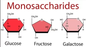 Carbohydrates importance, Types of Isomerism, Monosaccharides and Disaccharides Monosaccharides