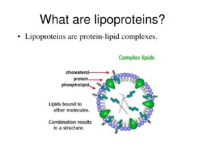 Complex Lipids