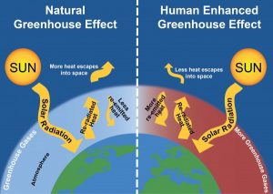 Erosion Of Ozone Layer Global Warming Phenomenon Greenhouse Effect Science Online