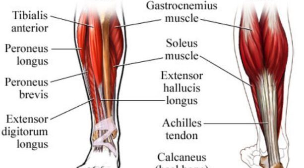 Leg structure