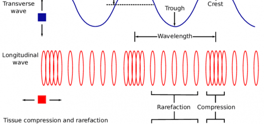 Transverse waves & Longitudinal waves