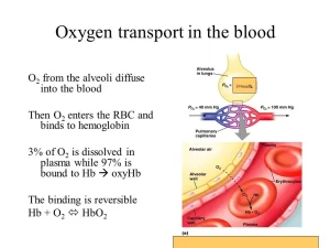 Oxygen transport by blood, Importance of P50, Bohr Effect and Treatment of CO poisoning Oxygen transport by blood