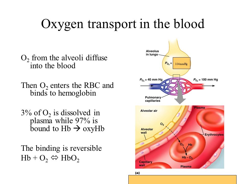 Oxygen Transport By Blood Importance Of P50 Bohr Effect And Treatment