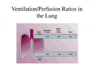 Pulmonary Ventilation and Perfusion