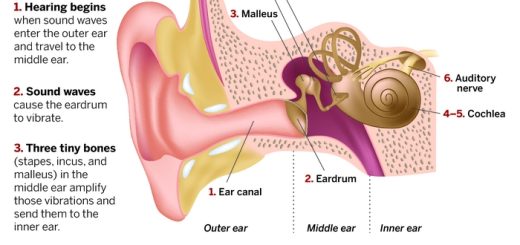Hearing process