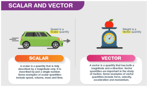 Scalars and vectors 