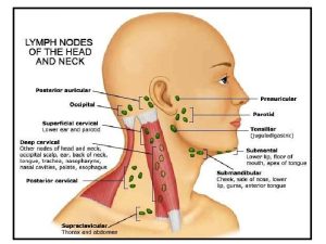 Lymphatics of head and neck