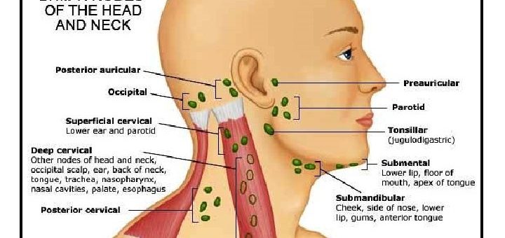 Lymphatics of head and neck