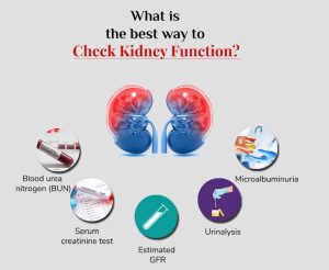 Tests to evaluate kidney function 