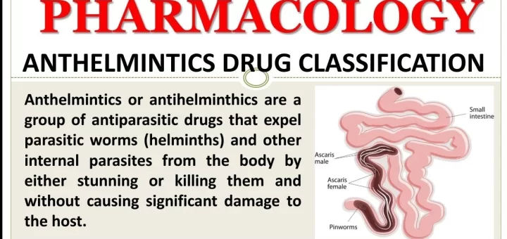 Anthelmintic drugs
