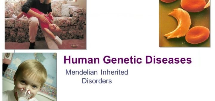 Impact and types of Genetic diseases