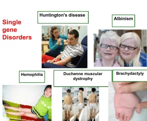 Single Gene Disorders