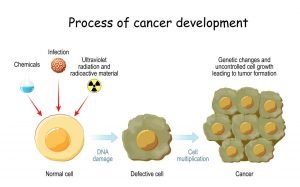 Cancer genetics 