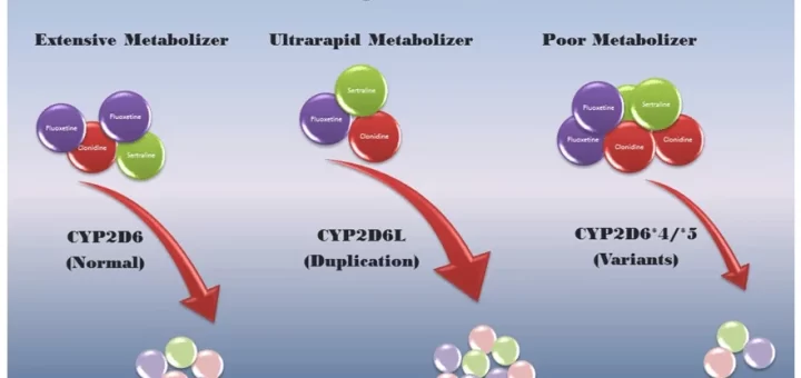 Role of Precision medicine and Pharmacogenetics