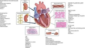 Cardiac Markers review