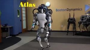 Atlas robot
