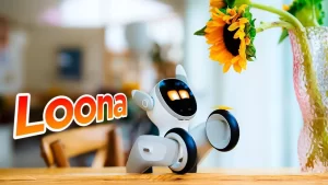 Loona Robot