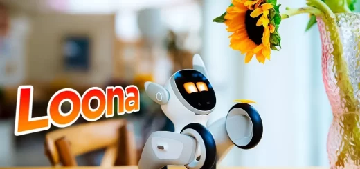 Loona Robot