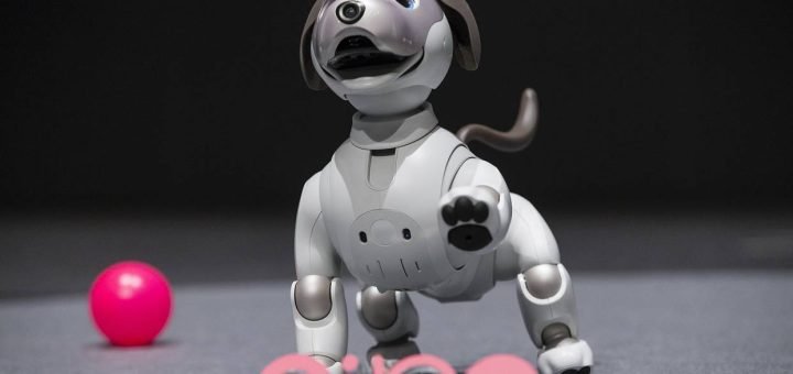 Aibo robotics dog