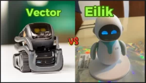 Eilik and vector