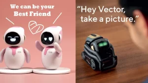 Eilik robot and vector robot