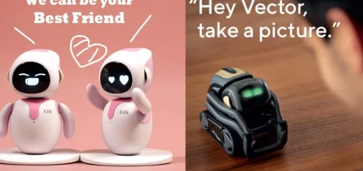 Eilik robot and vector robot