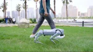 Go2 robot dog