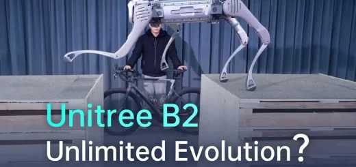 Unitree B2