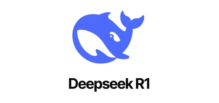 DeepSeek