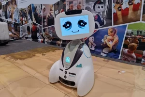 Buddy robot