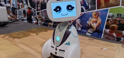 Buddy robot