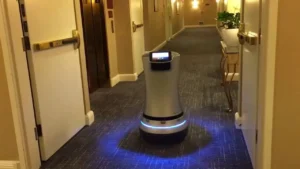Ferry Room Service Robot Review, Features, Advantages, Disadvantages & FAQ Ferry Room Service Robot