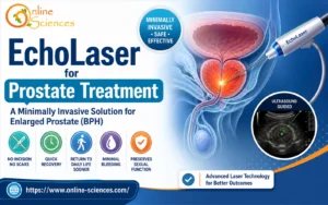 EchoLaser for prostate treatment